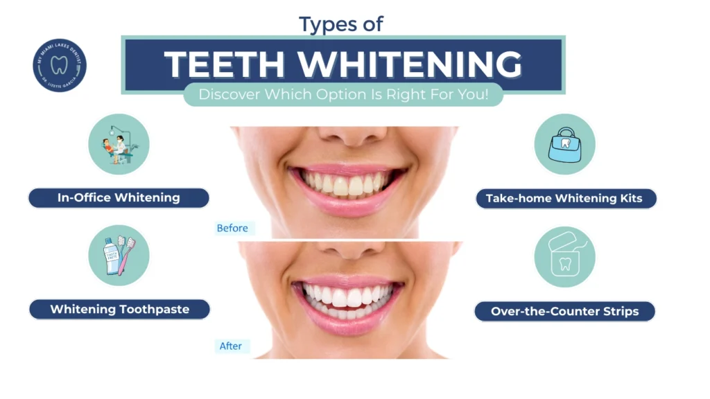 Dr. Lizette-Types of teeth